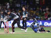 在心中埋下 在心中埋下